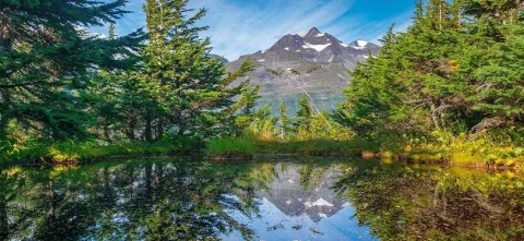 Sail through Alaska this summer with Golden Tours Kosher Cruises.