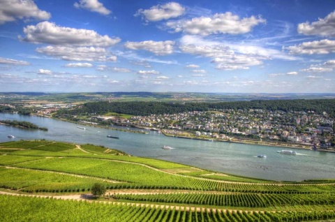 Kosher river cruise along the Rhine River with castles and vineyards