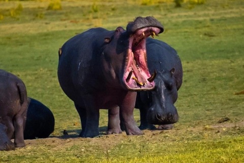 Kosher Tours - Kosher Vacations