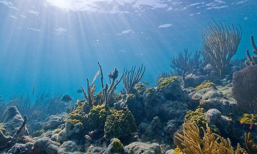 National Park Service